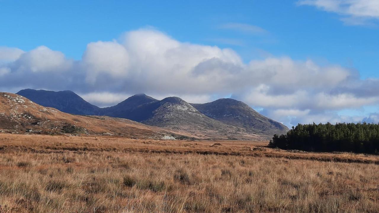 Clifden Wildflower Cottage - Clifden Countryside Lettings Екстер'єр фото