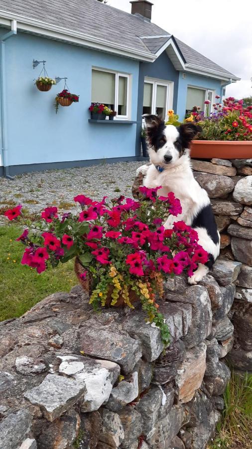 Clifden Wildflower Cottage - Clifden Countryside Lettings Екстер'єр фото