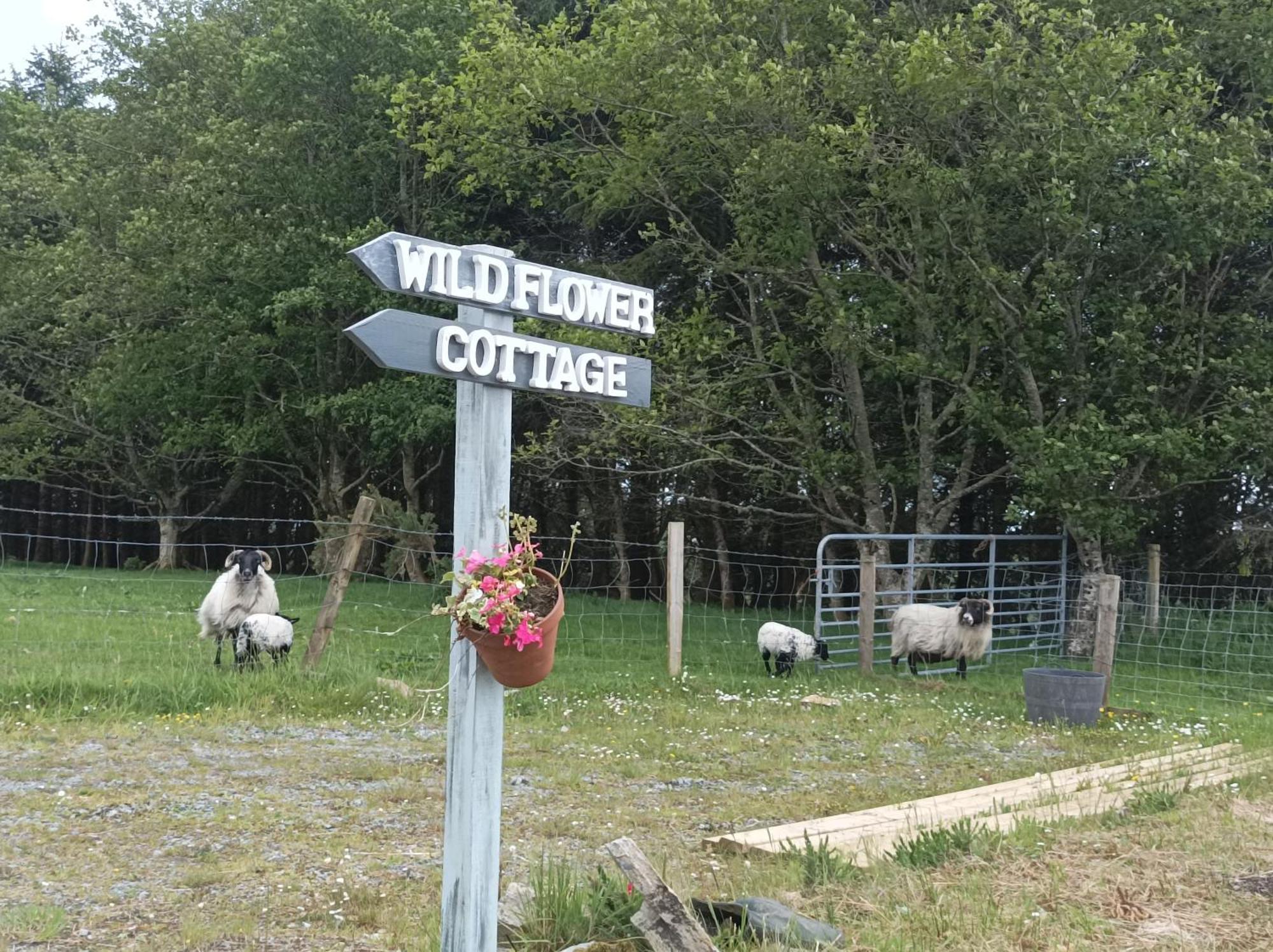 Clifden Wildflower Cottage - Clifden Countryside Lettings Екстер'єр фото